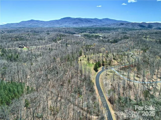 a view of a mountain in the distance