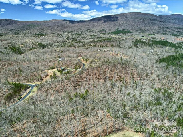 a view of a dry yard