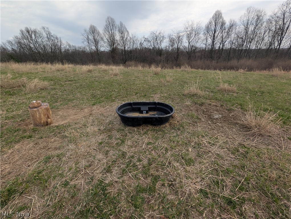 39000 Lees Run Road Cadiz, OH 43907 - Photo 44 of 49