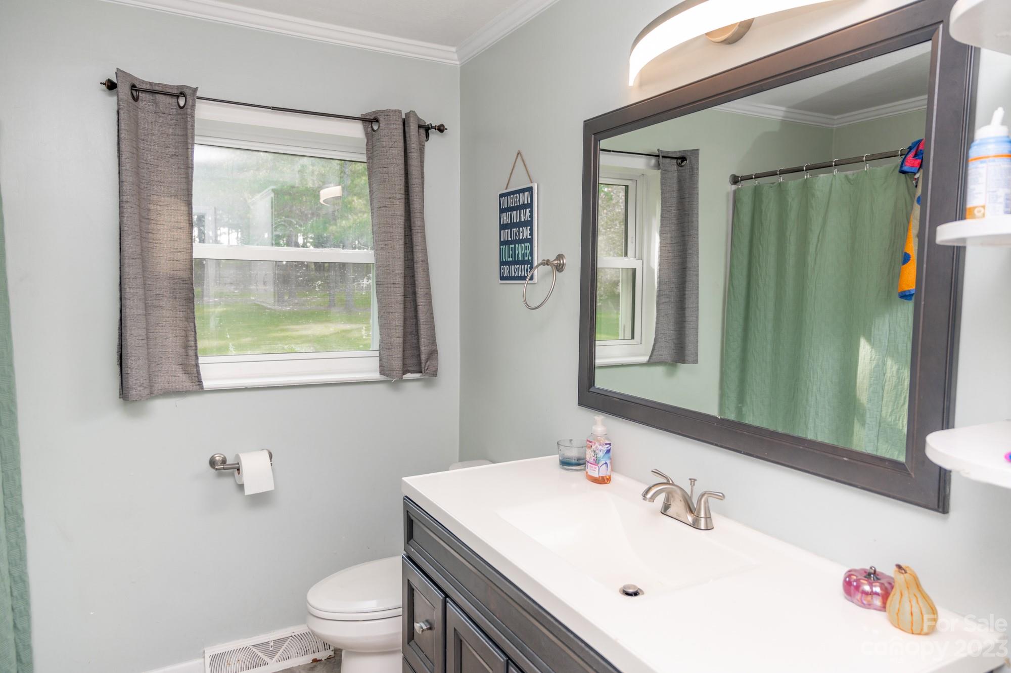6600 Barrier Store Road Mount Pleasant, NC 28124 - Photo 5 of 21 a bathroom with a sink a toilet and a mirror