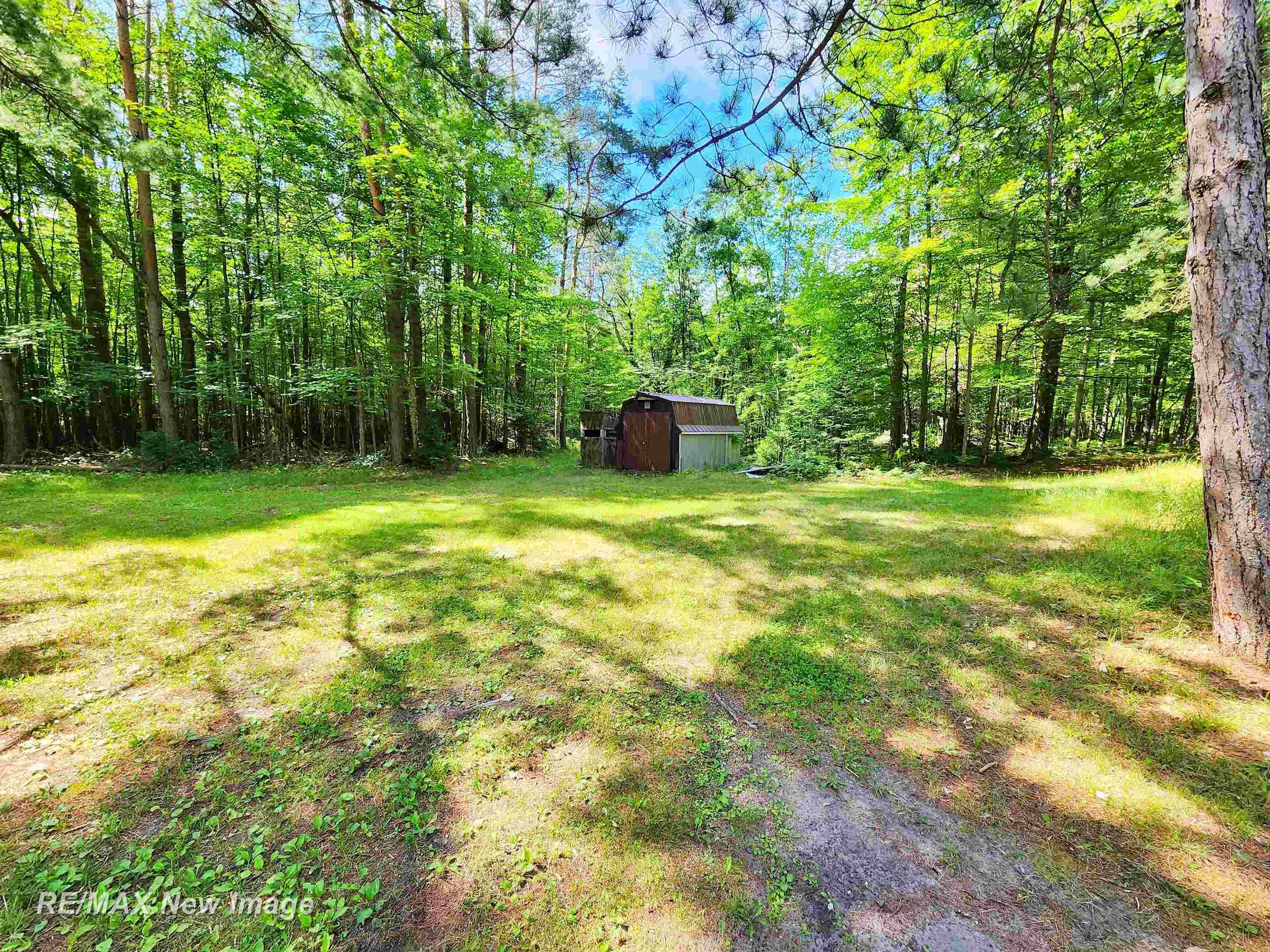 1040 Ritchie Road Lincoln, MI 48742 - Photo 51 of 63
