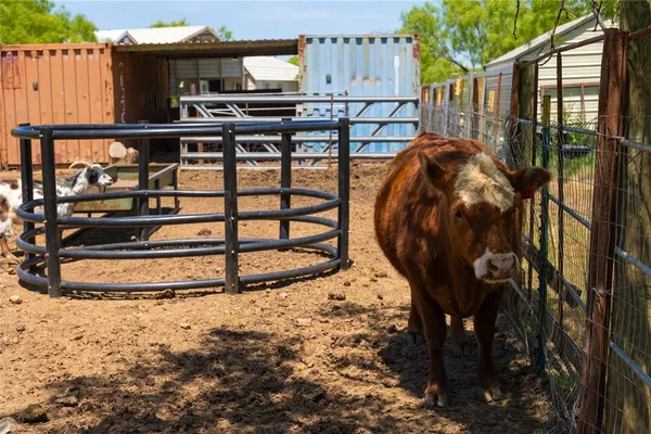 $329,000 | 15905 County Road 211, Brookesmith, TX 76827