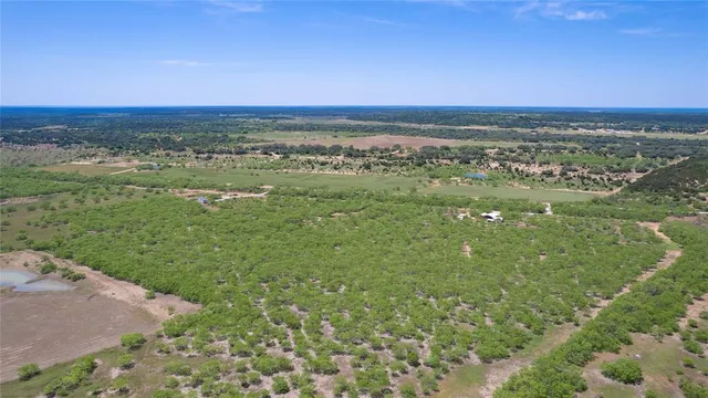 a view of a green yard with large trees