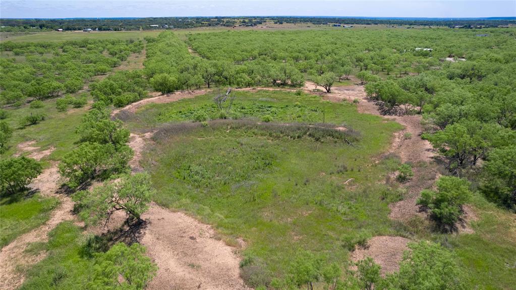 15905 County Road 211 Brookesmith, TX 76827 - Photo 20 of 23 a view of a green yard with large trees