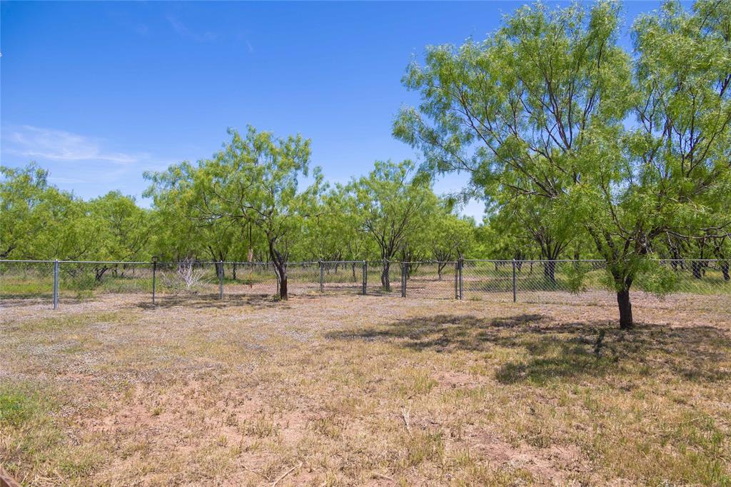 15905 County Road 211 Brookesmith, TX 76827 - Photo 21 of 23 a backyard of a house with lots of green space