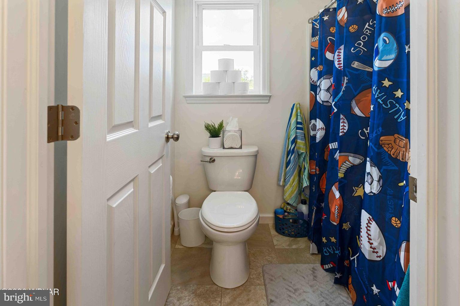 92 Easton Road Trout Run, PA 17771 - Photo 82 of 108 Sporty-themed bathroom retreat.