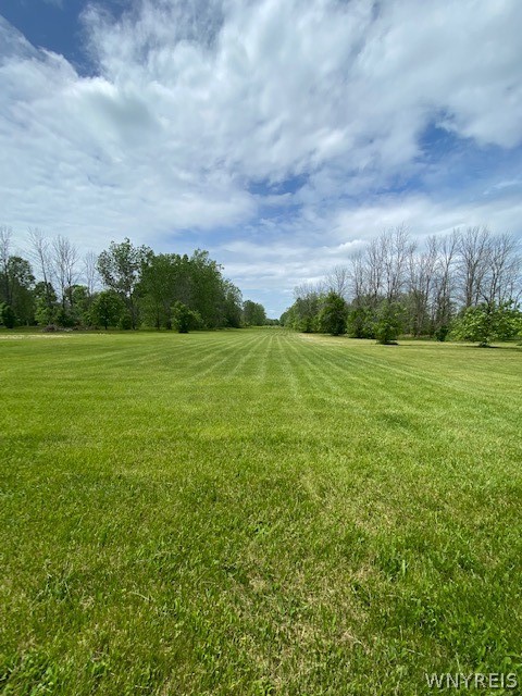 Welcome to this beautiful property! 

