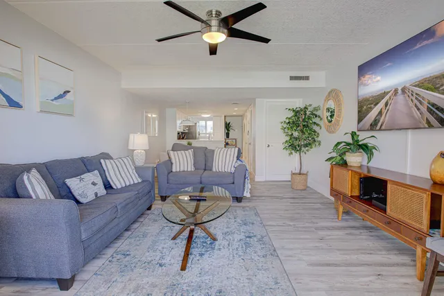 a living room with furniture and a potted plant