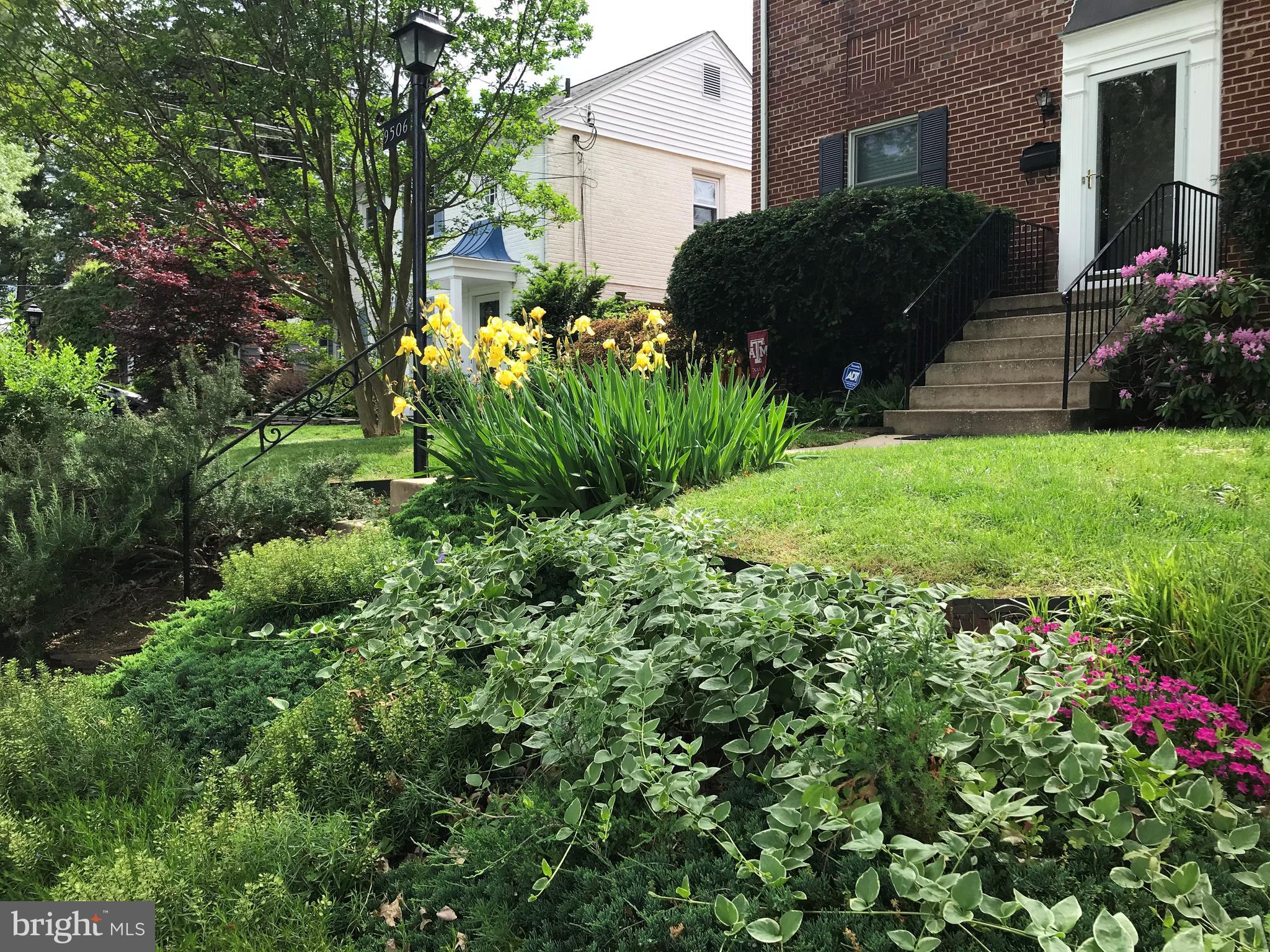 9506 Wire Avenue Silver Spring, MD 20901 - Photo 59 of 72 Spring Has Sprung!