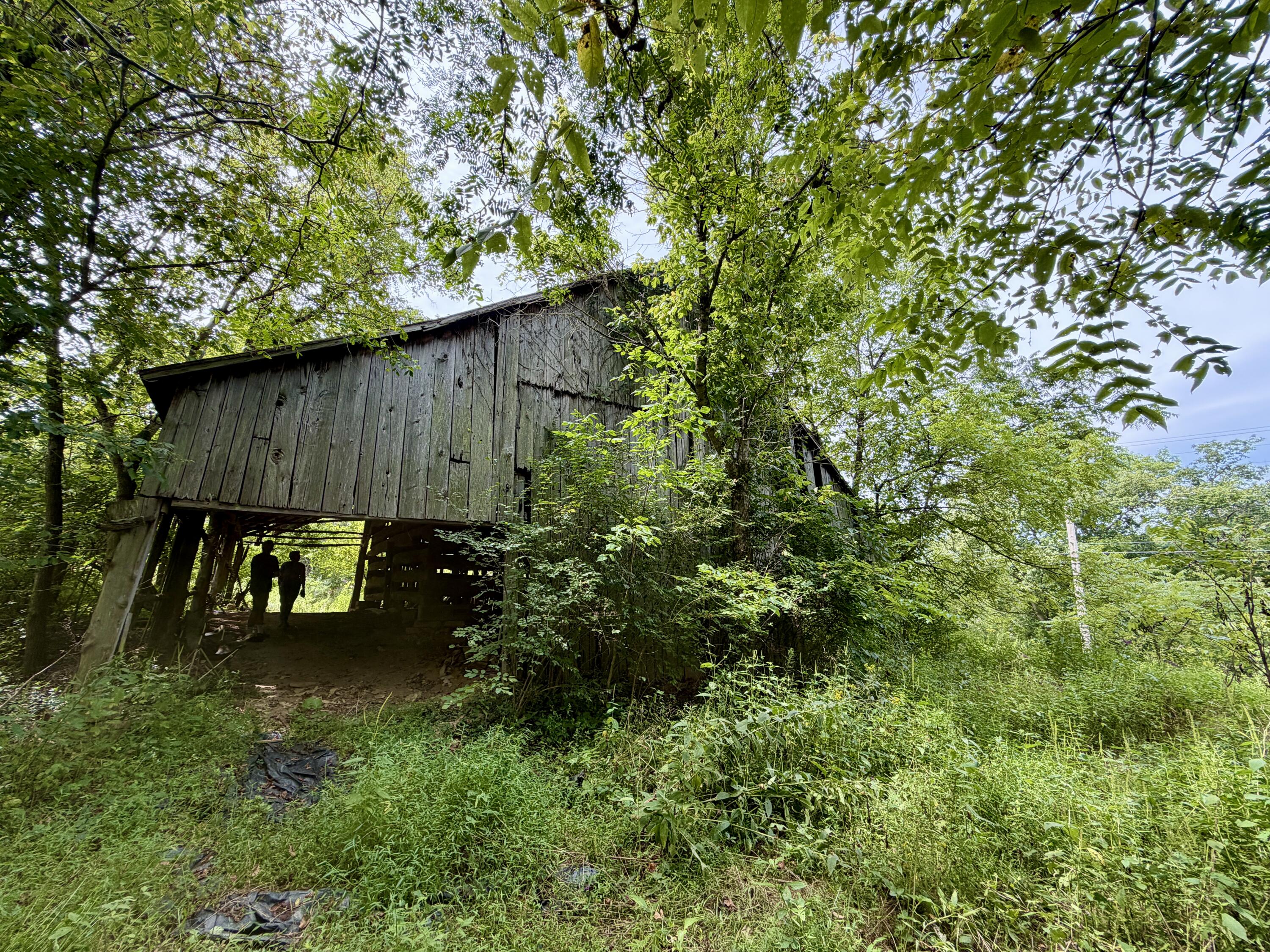 669 Wellsburg Walcott Road Brooksville, KY 41004 - Photo 16 of 42 IMG_2234