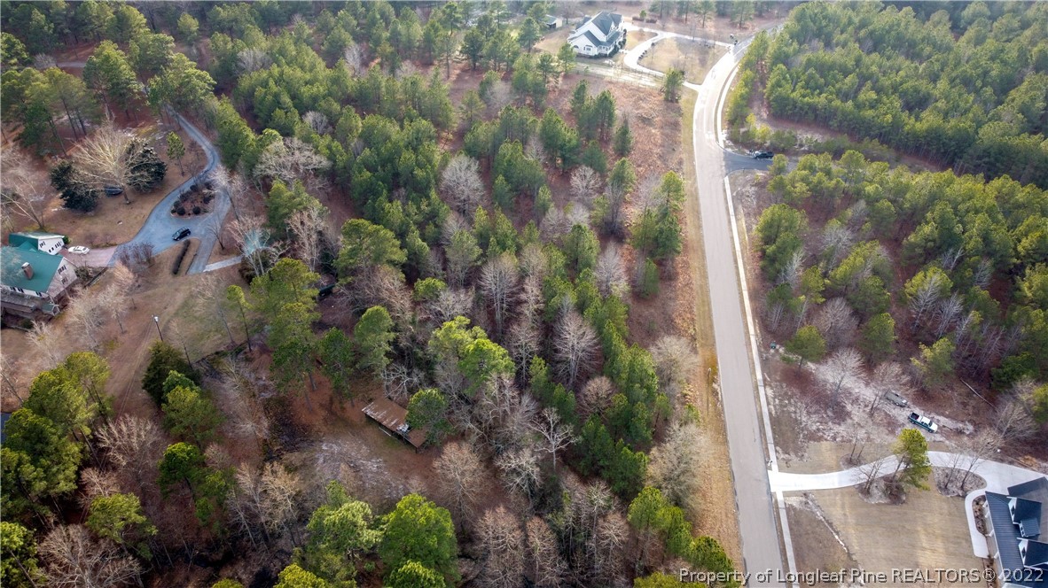 490 Broken Ridge Trail West End, NC 27376 - Photo 14 of 29 Gallery Image 14