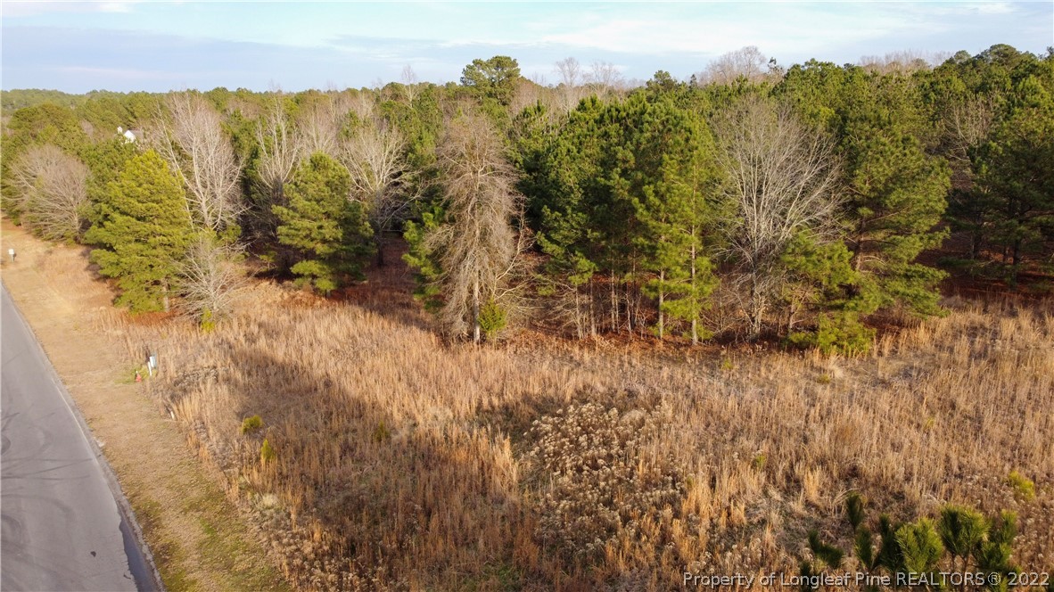 490 Broken Ridge Trail West End, NC 27376 - Photo 16 of 29 Gallery Image 16