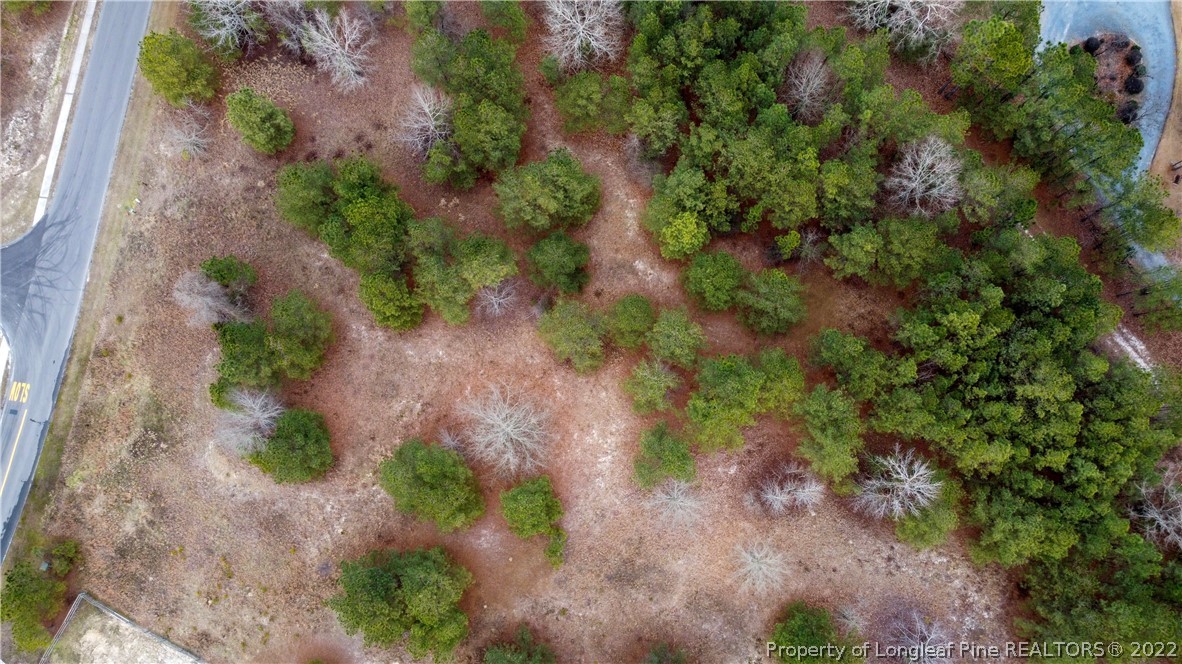 490 Broken Ridge Trail West End, NC 27376 - Photo 8 of 29 Gallery Image 8