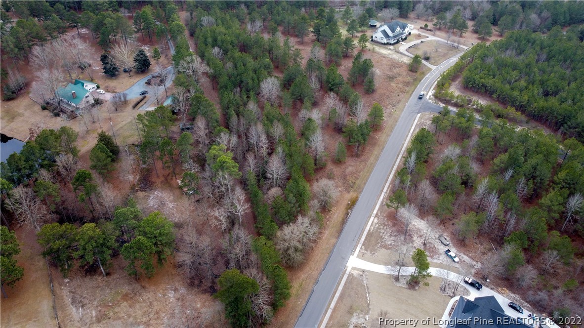 490 Broken Ridge Trail West End, NC 27376 - Photo 9 of 29 Gallery Image 9