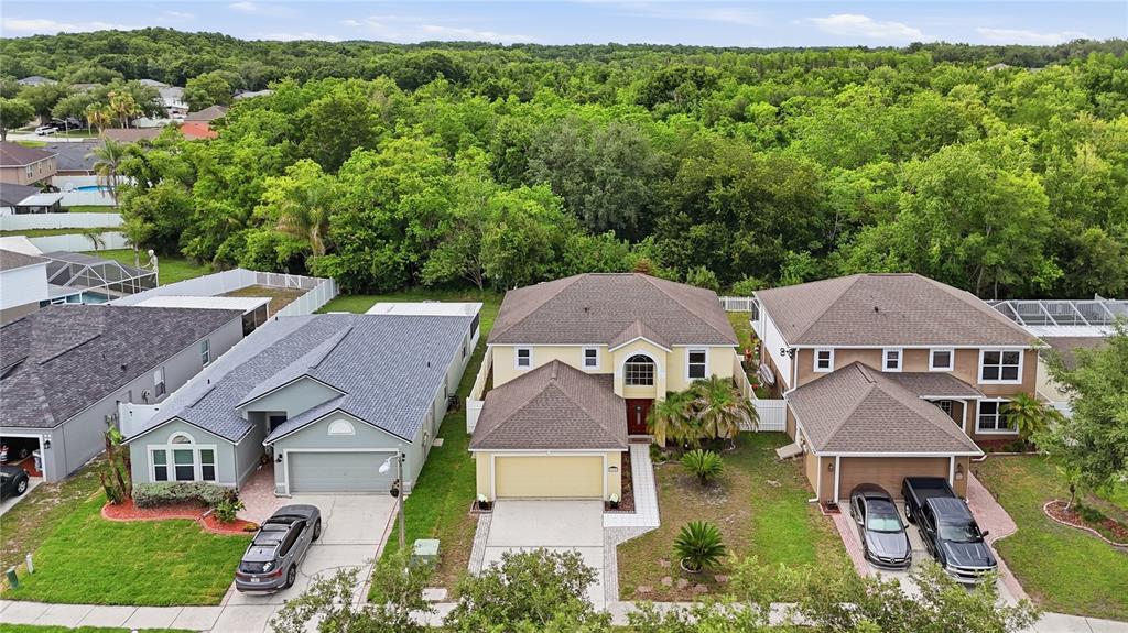 24945 Ravello Street Land O Lakes, FL 34639 - Photo 6 of 58