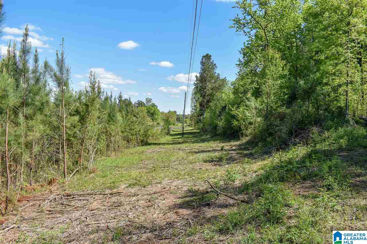 471 Toadvine Road, Unit ACREAGE Bessemer, AL 35023 - Photo 11 of 12 Gallery Image 11