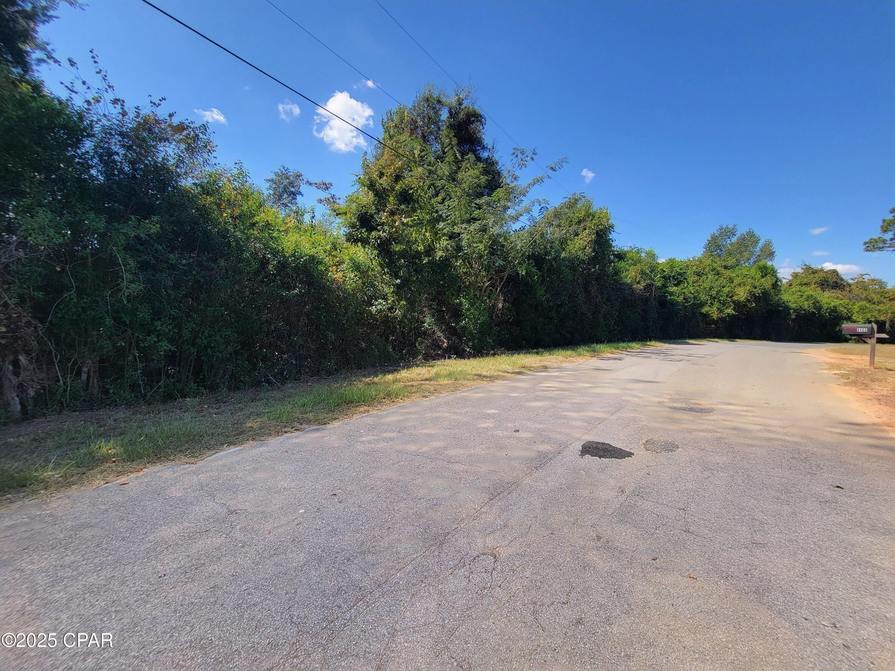 0 River Road Marianna, FL 32446 - Photo 3 of 5
