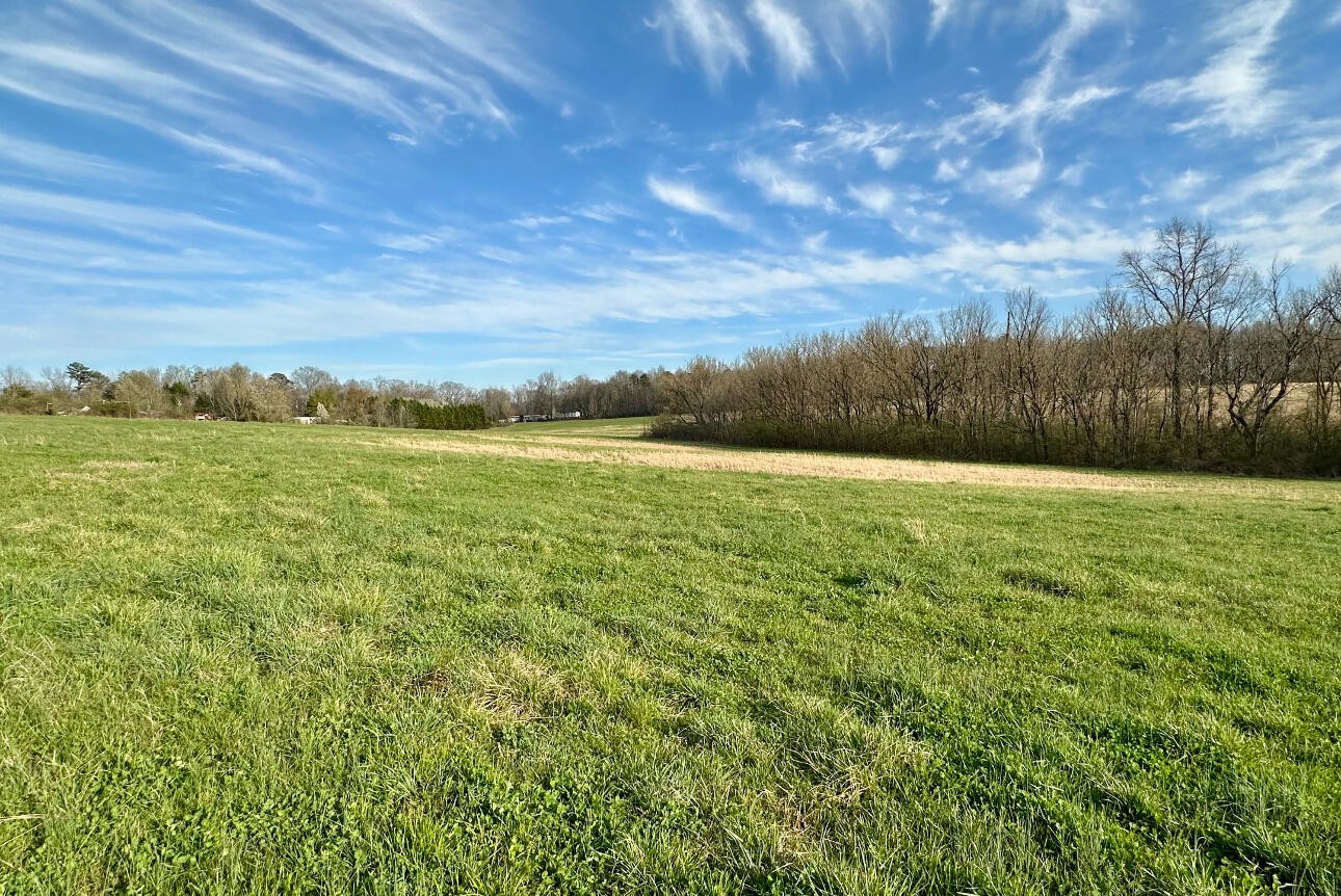 0 Maple Spring Road Dayton, TN 37321 - Photo 4 of 7 a view of a field with an ocean