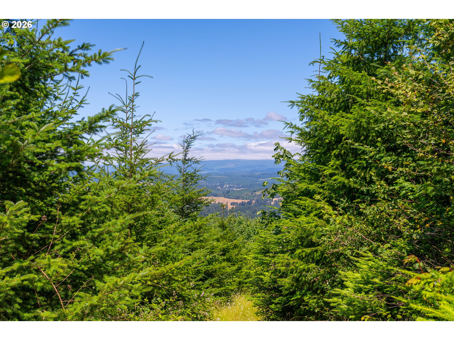 29852 Ingram Road Lebanon, OR 97355 - Photo 14 of 17