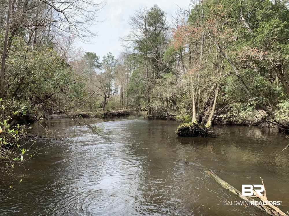 17525 Joe Gottler Road Elberta, AL 36530 - Photo 4 of 44