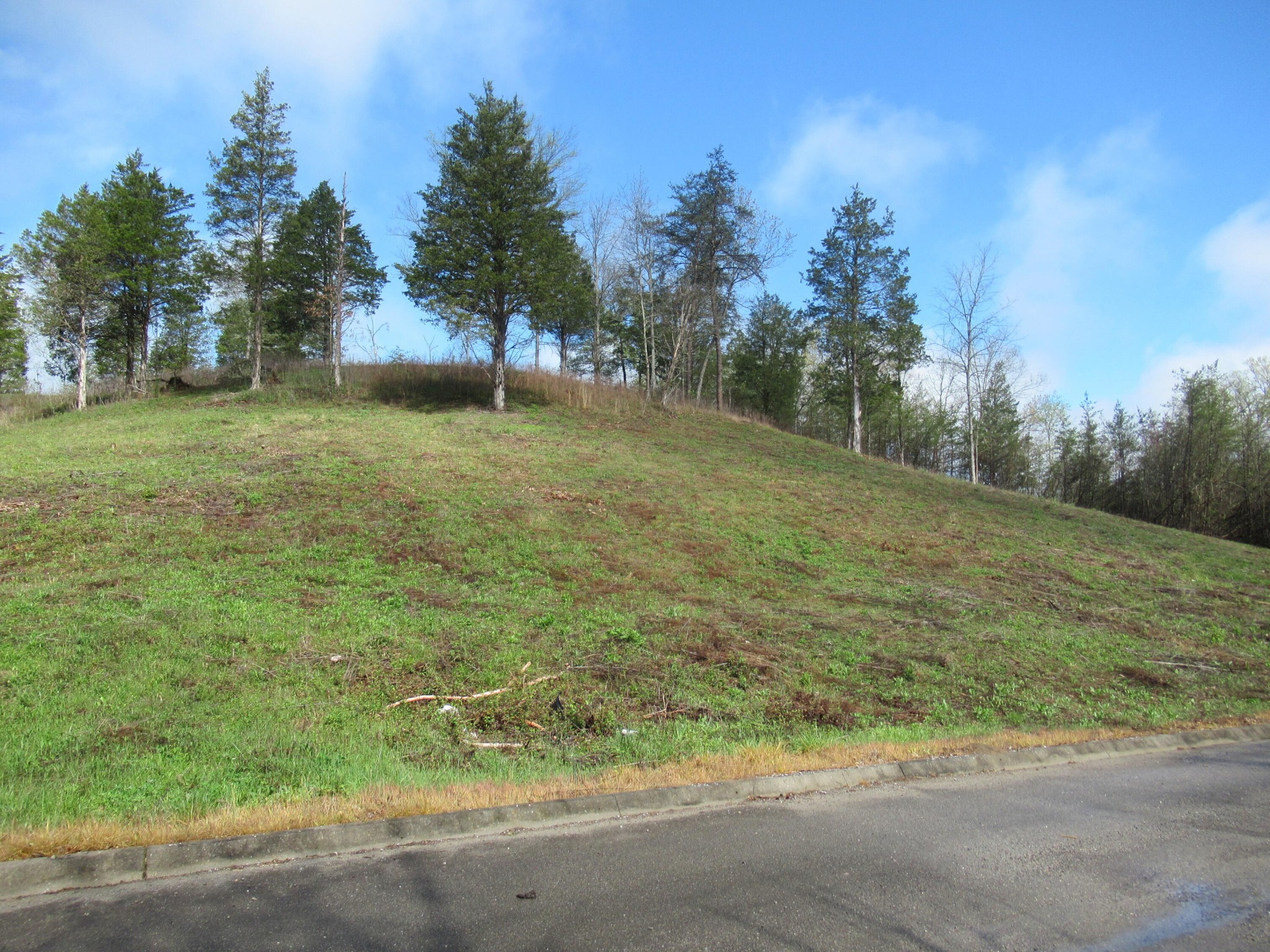 10 Hidden Ranch Way Seymour, TN 37865 - Photo 1 of 25 Gallery Image 1