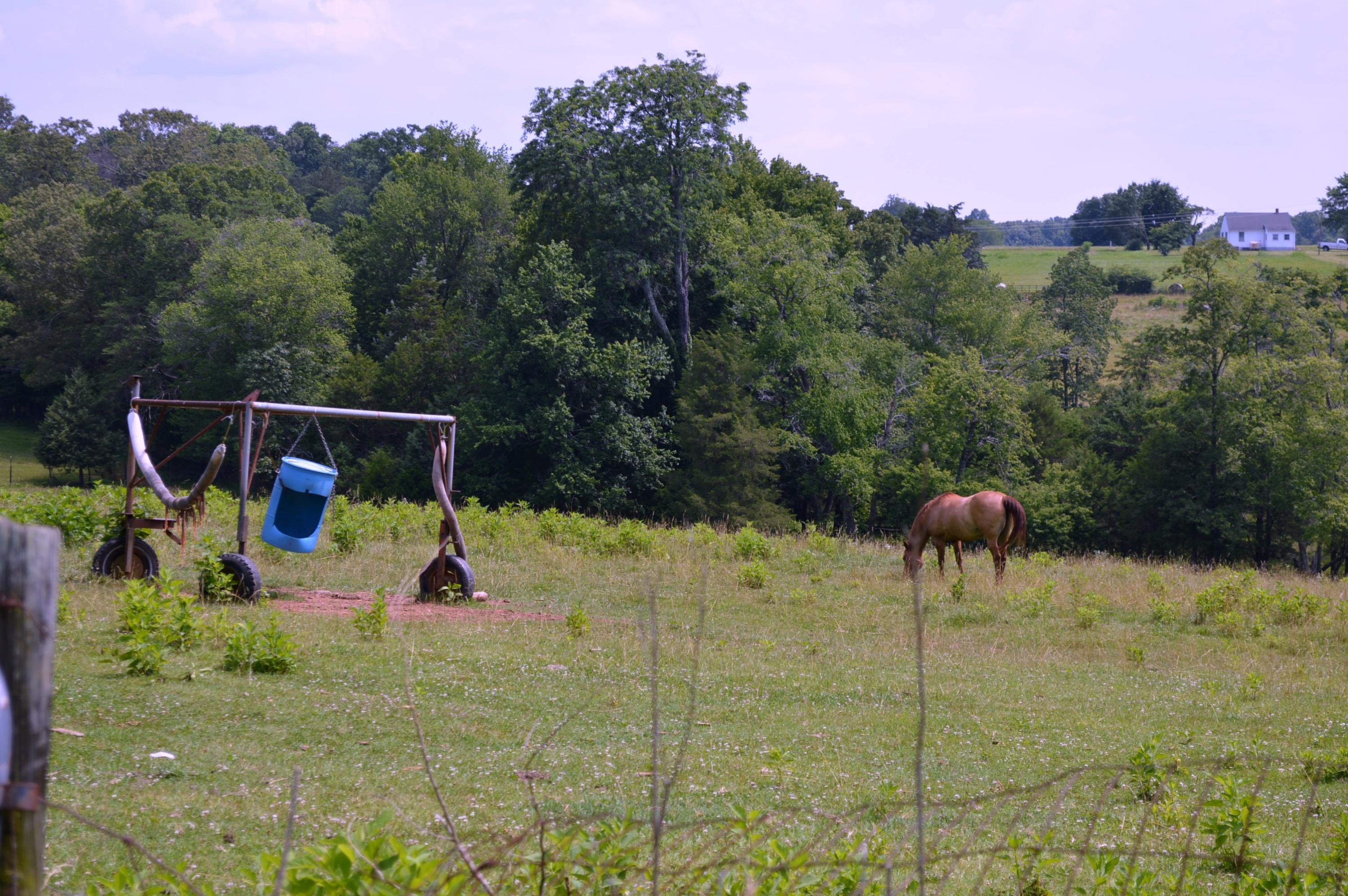 1886 Rock Cliff Road Bedford, VA 24523 - Photo 14 of 22 15