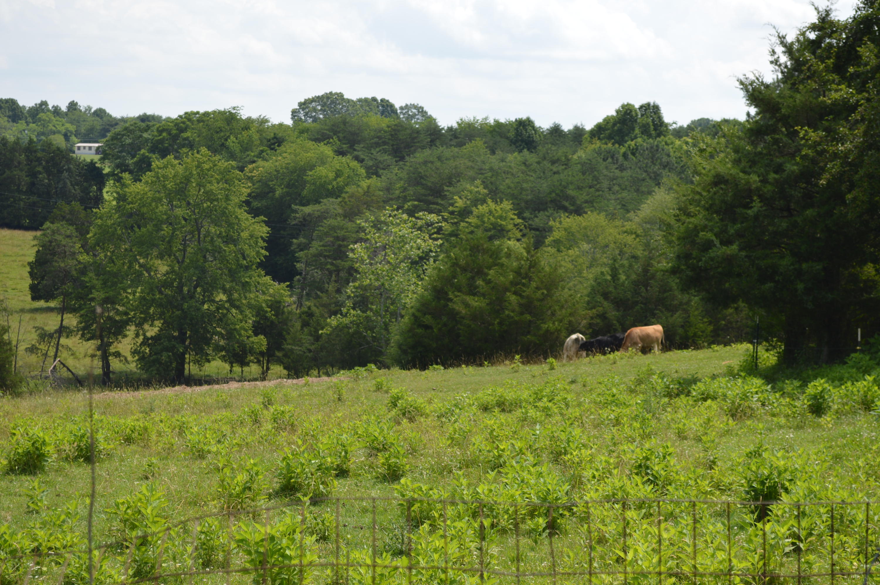 1886 Rock Cliff Road Bedford, VA 24523 - Photo 15 of 22 16
