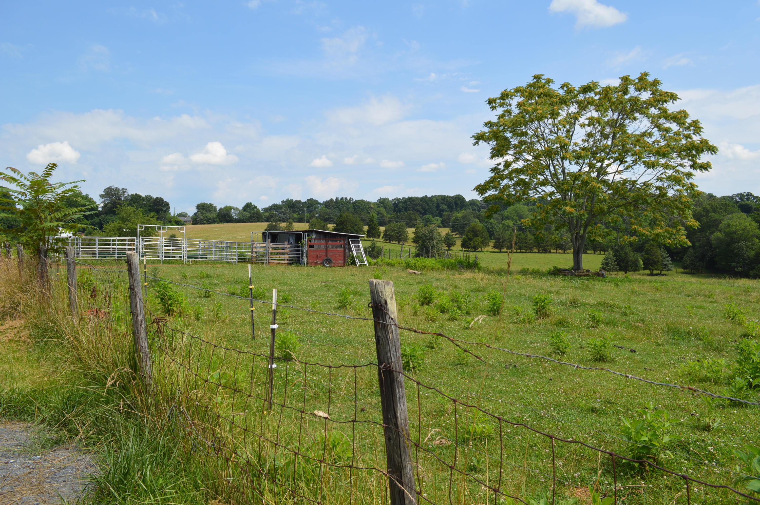 1886 Rock Cliff Road Bedford, VA 24523 - Photo 19 of 22 20