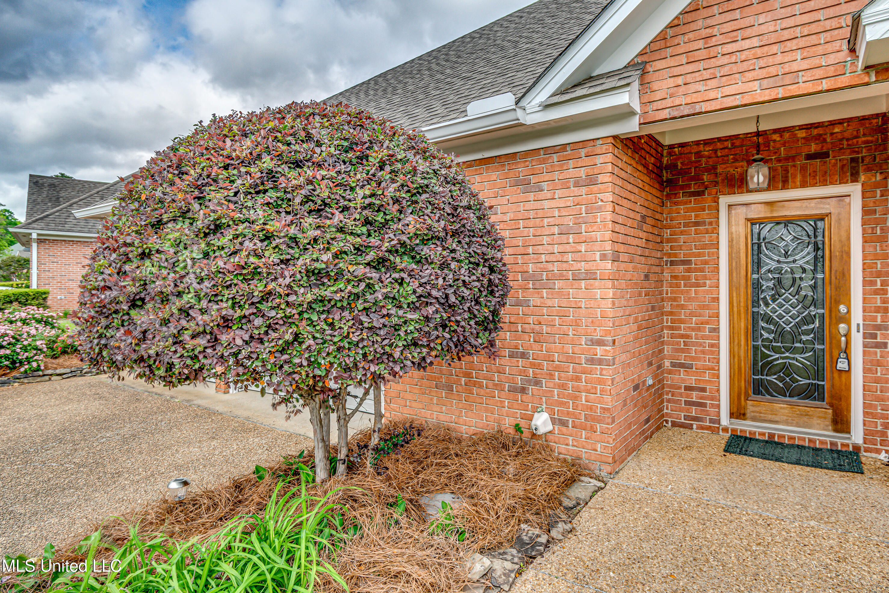 562 Spring Lake Dr-5