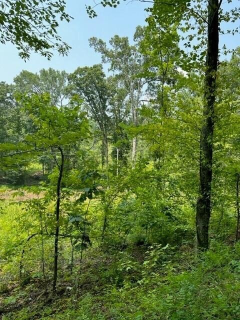 100 River Road Decatur, TN 37322 - Photo 3 of 11 Gallery Image 3