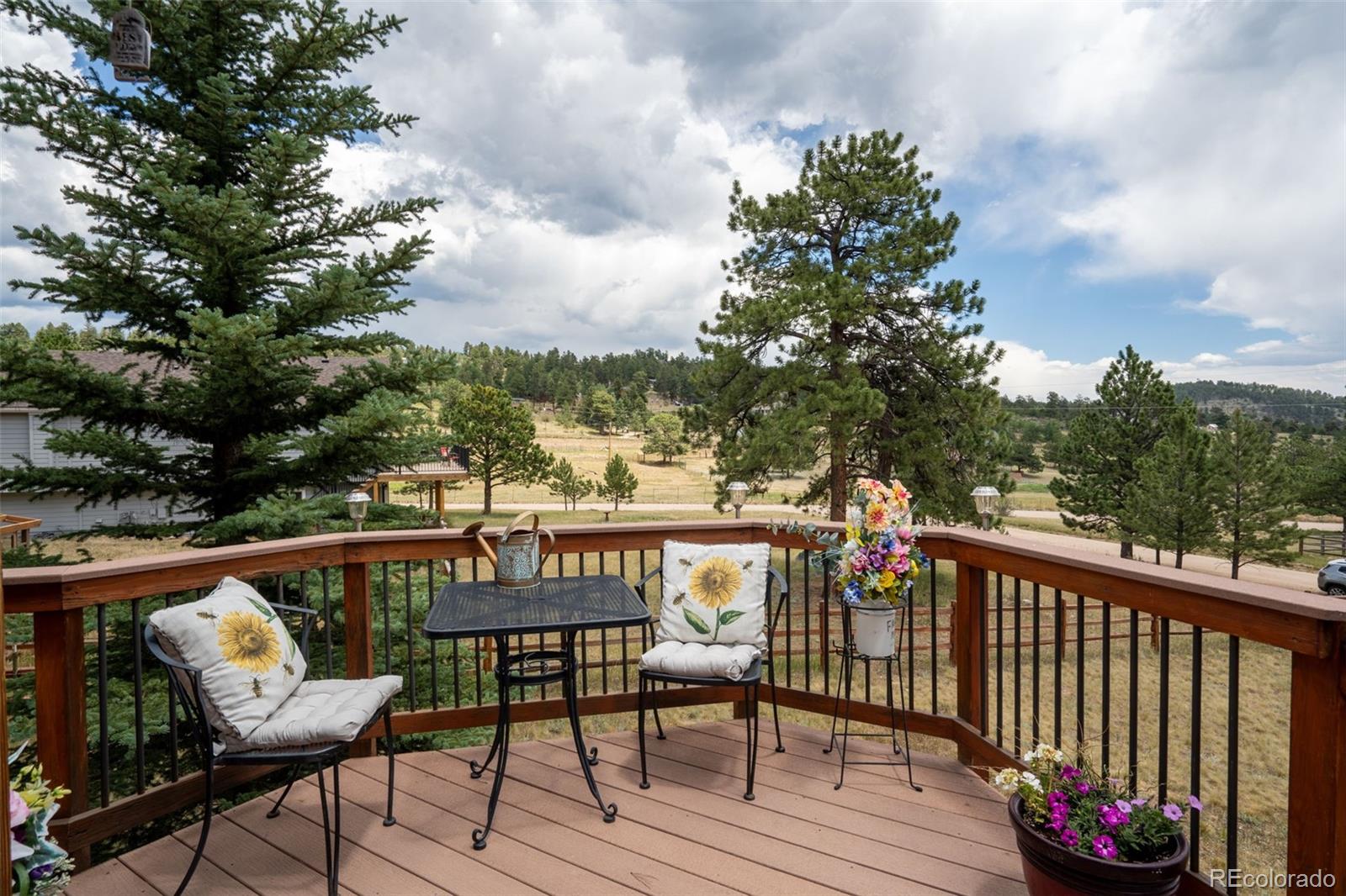 541 Beaver Trail Bailey, CO 80421 - Photo 6 of 42 Gallery Image 6