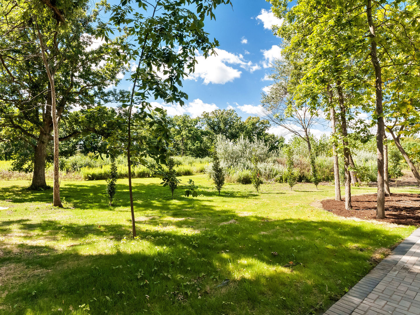 1 Morrison Road Northbrook, IL 60062 - Photo 52 of 58 a view of yard with tree and a yard