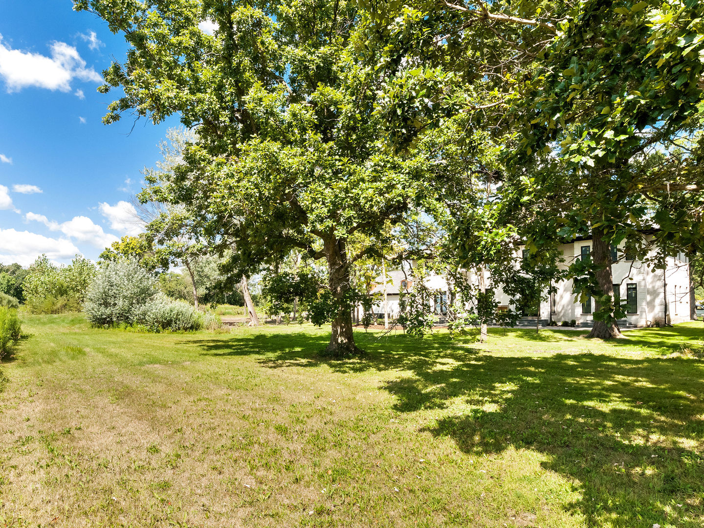 1 Morrison Road Northbrook, IL 60062 - Photo 53 of 58 a big yard with lots of green space and trees all around