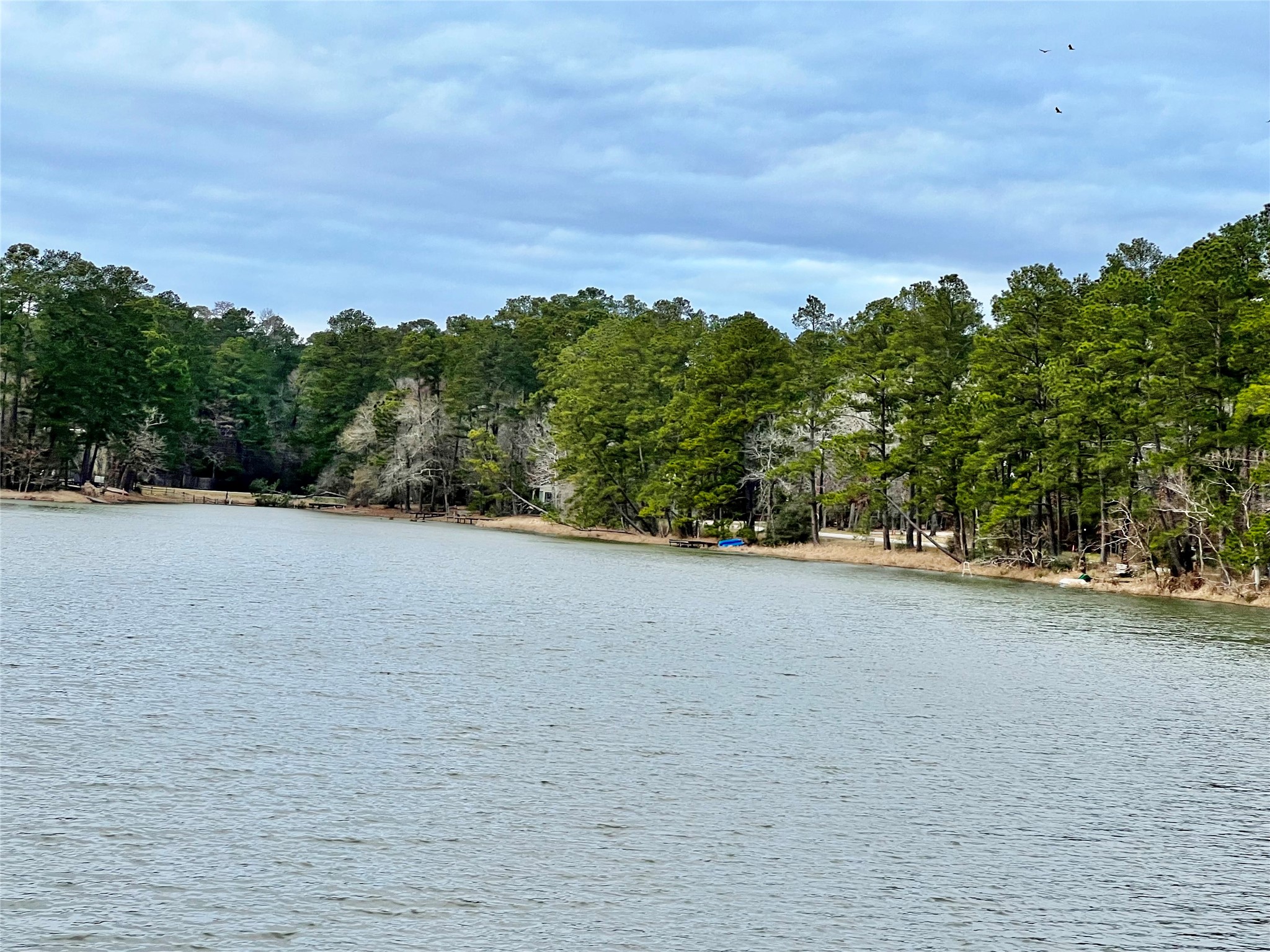 Tbd Lot 180 B Tbd Road Montgomery, TX 77356 - Photo 1 of 8 a view of a field