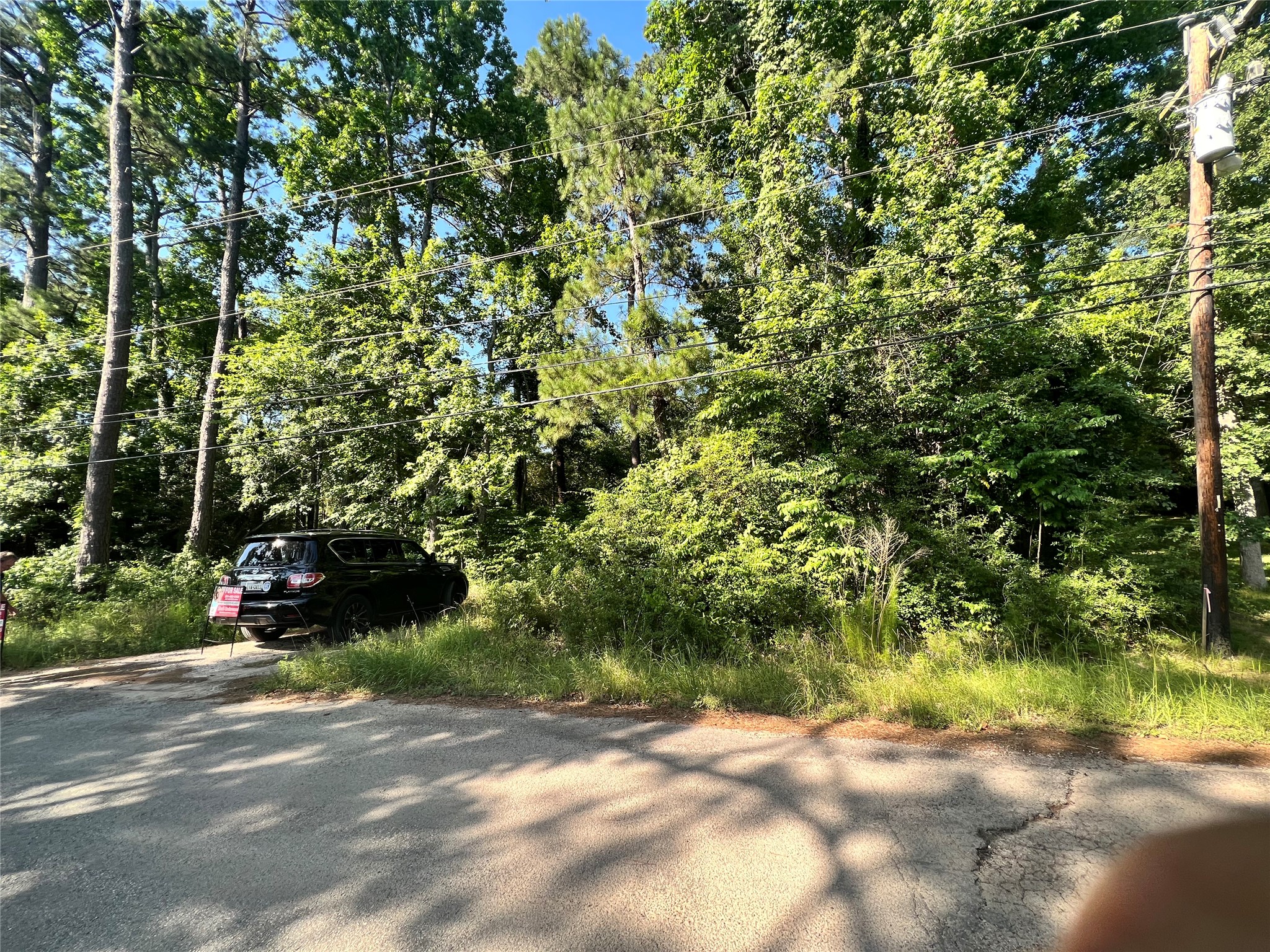 Tbd Lot 180 B Tbd Road Montgomery, TX 77356 - Photo 2 of 8 a view of a yard with plants and large trees