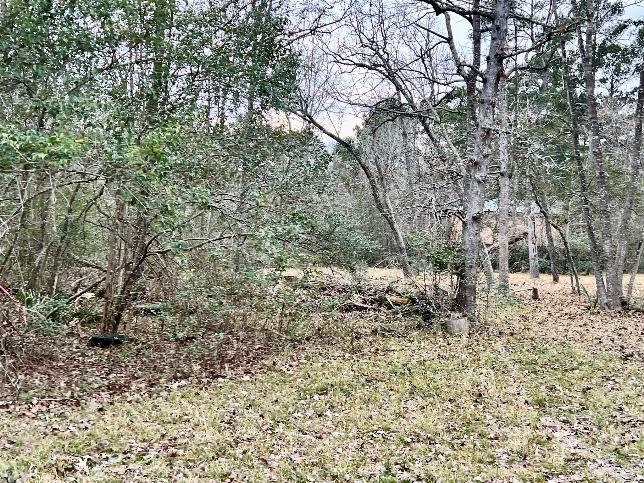 Tbd Lot 180 B Tbd Road Montgomery, TX 77356 - Photo 4 of 8 a view of a yard with large trees