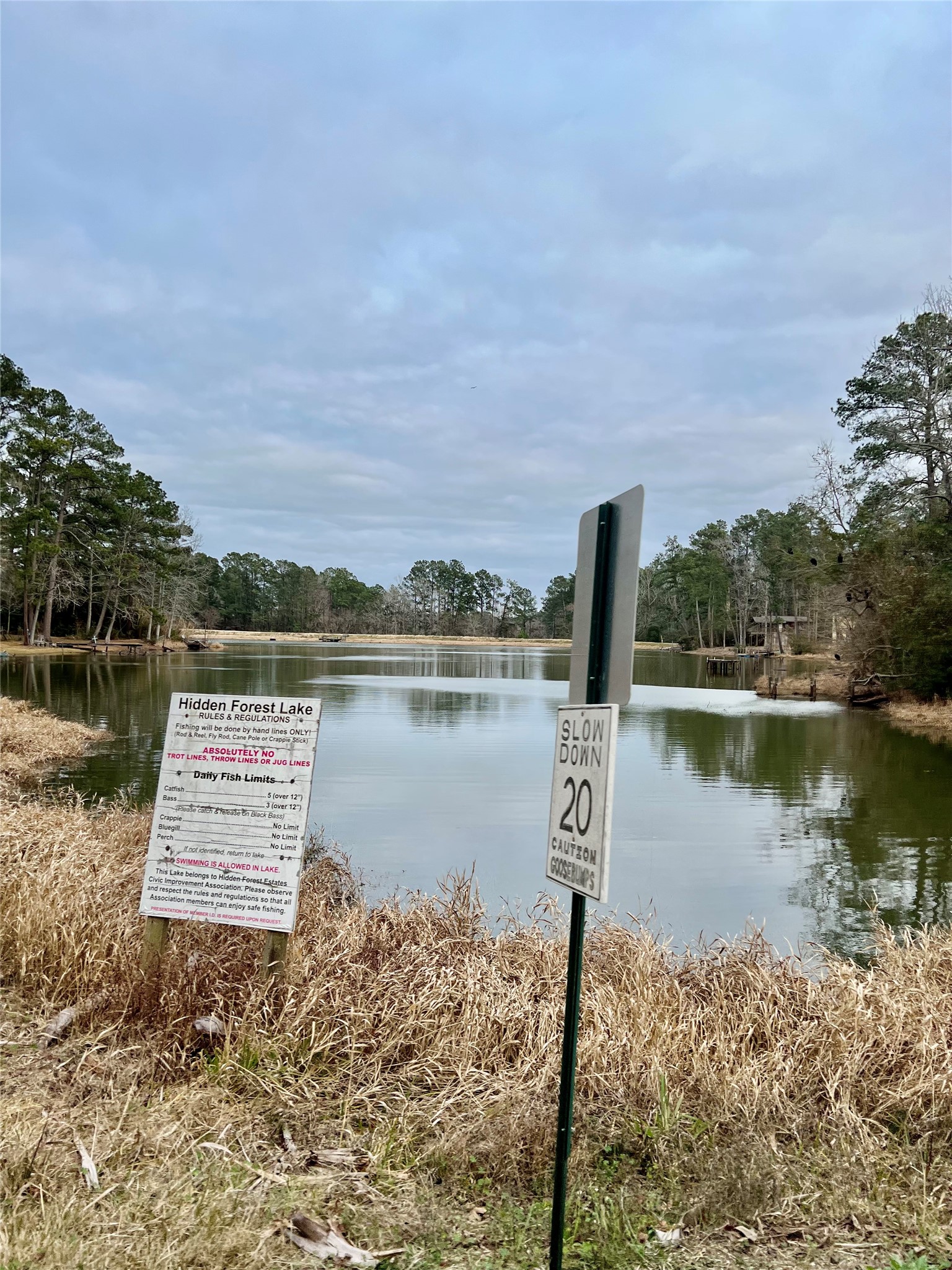 Tbd Lot 180 B Tbd Road Montgomery, TX 77356 - Photo 5 of 8 a view of a lake with a large building