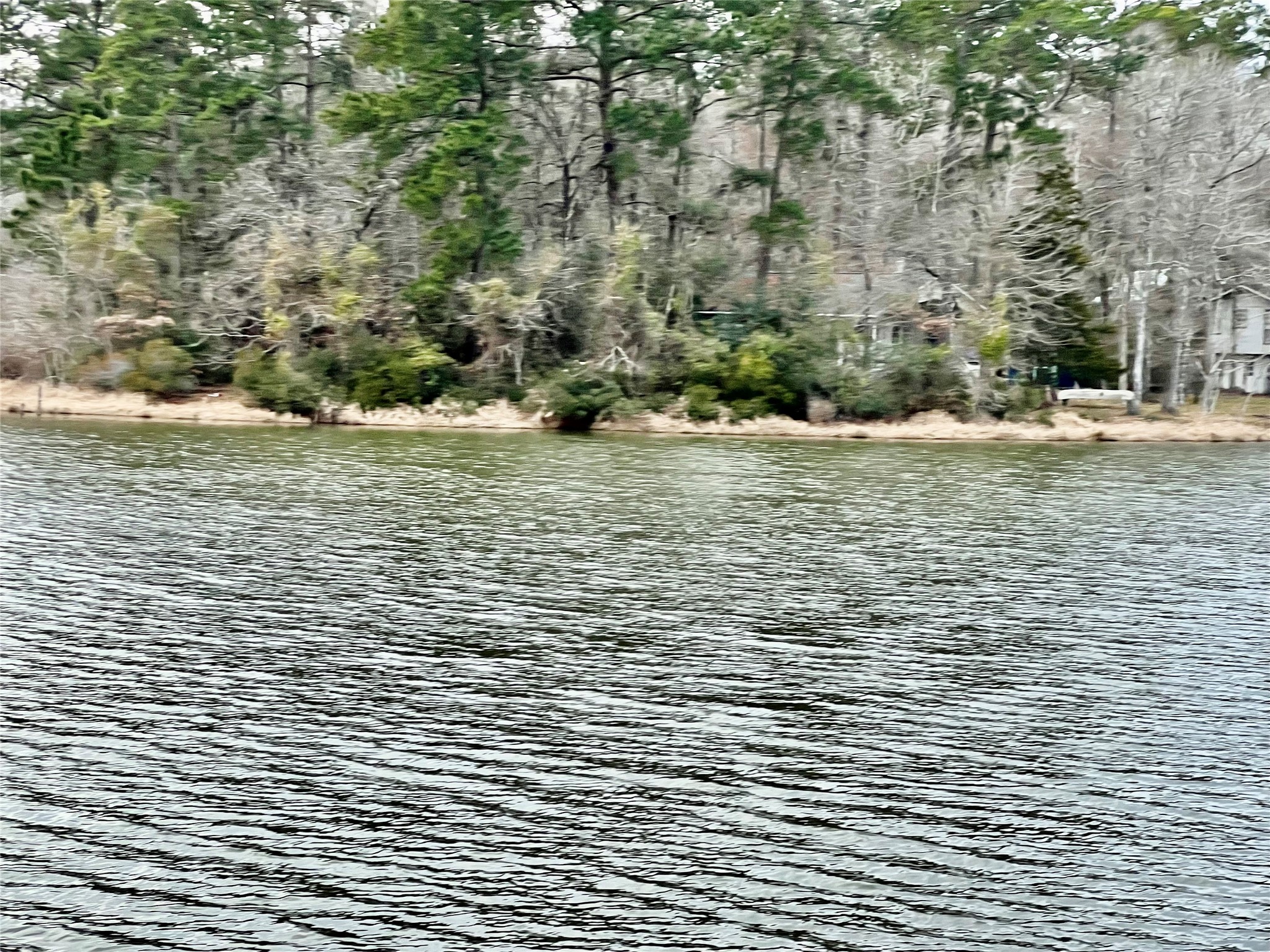 Tbd Lot 180 B Tbd Road Montgomery, TX 77356 - Photo 6 of 8 a view of pool