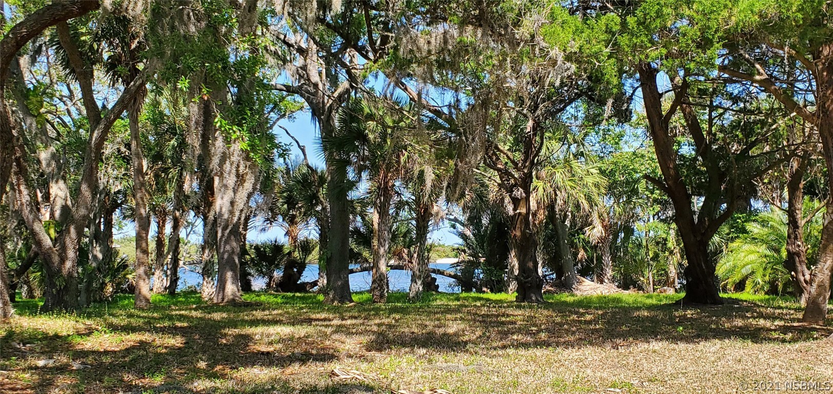 1508 South Riverside Drive Edgewater, FL 32132 - Photo 2 of 40