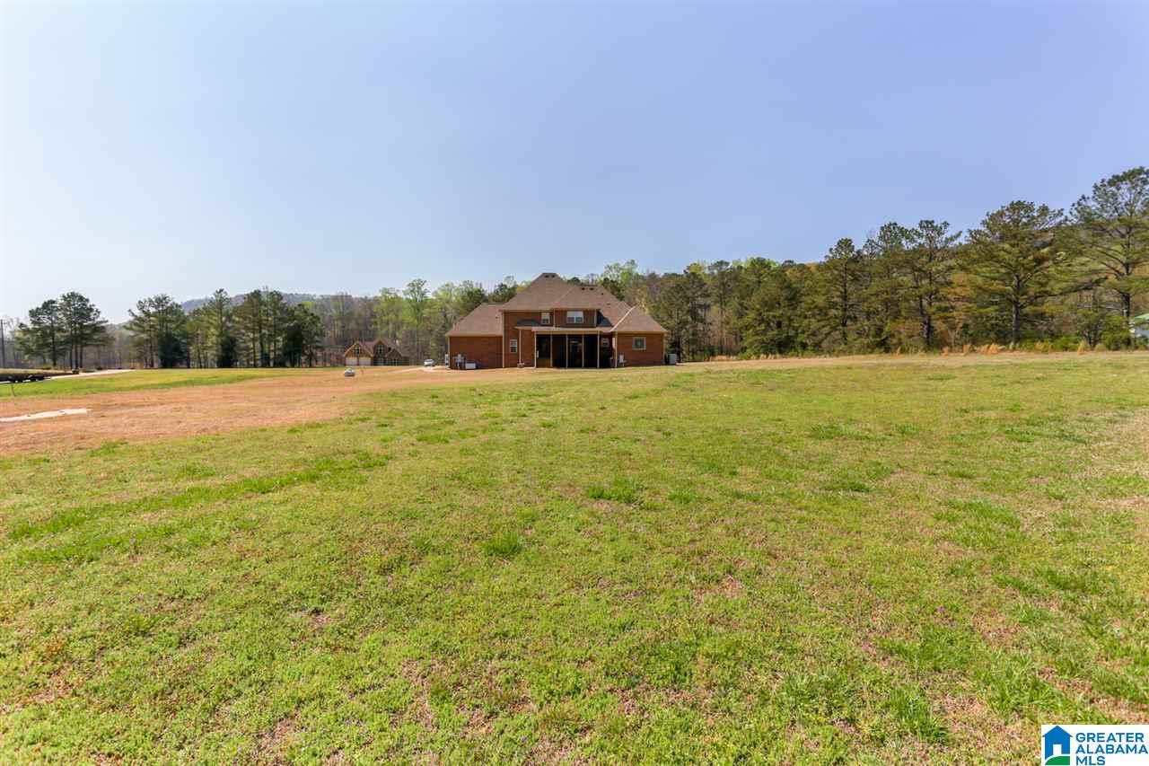 2494 Crawford Cove Road Springville, AL 35146 - Photo 49 of 50