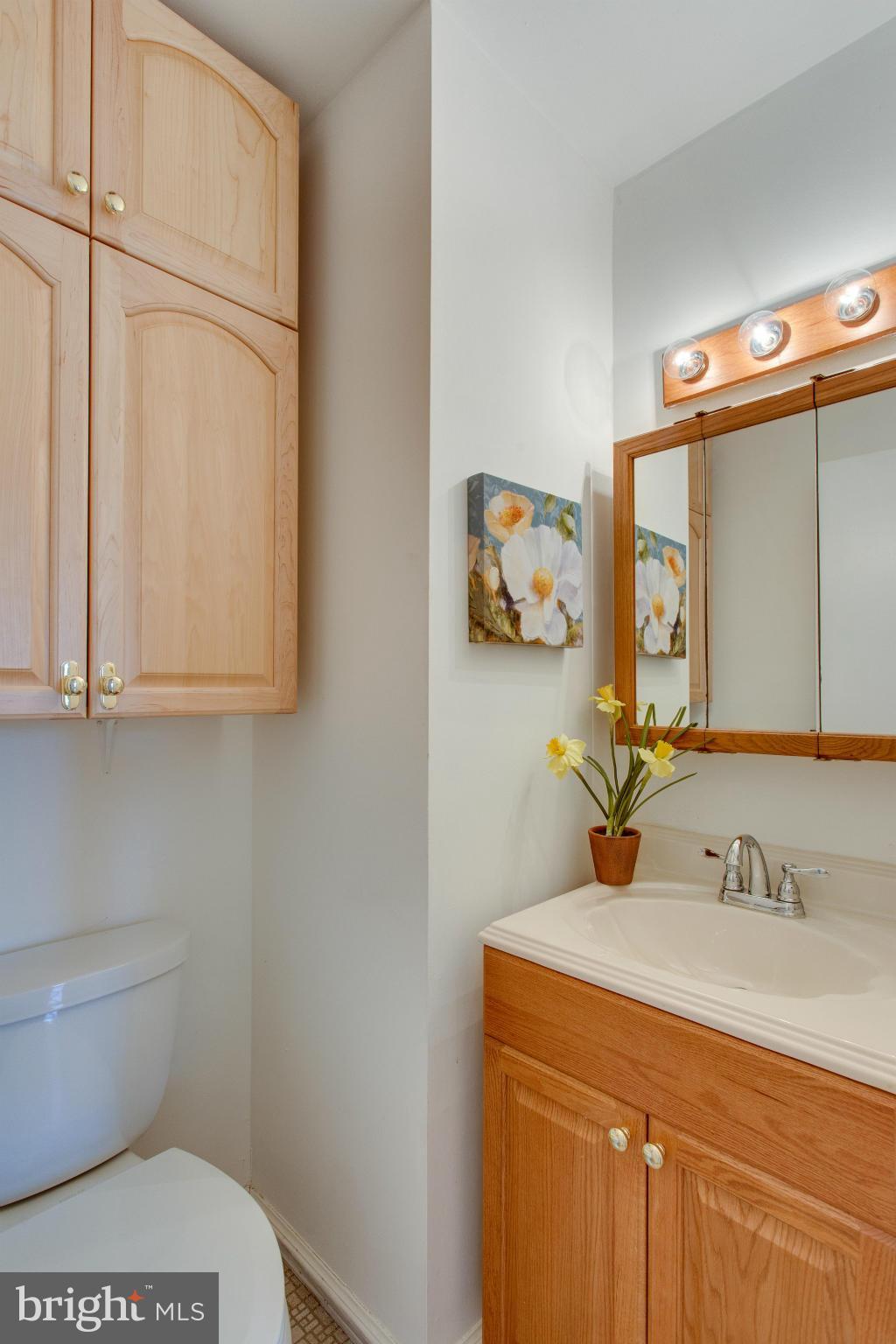 4007 Braddock Road Alexandria, VA 22312 - Photo 20 of 28 Bath