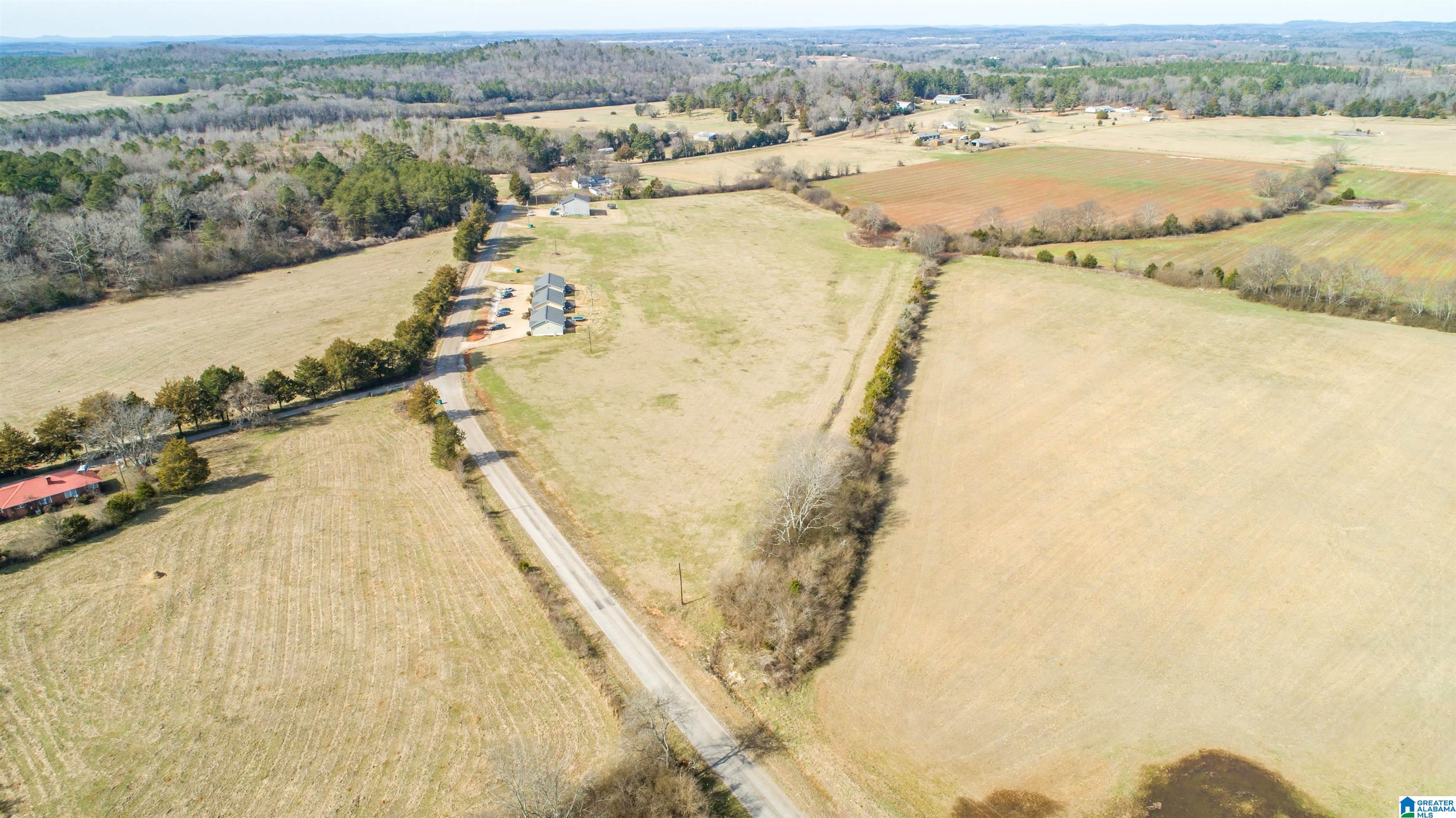 0 Oak Grove Road Munford, AL 36268 - Photo 7 of 9