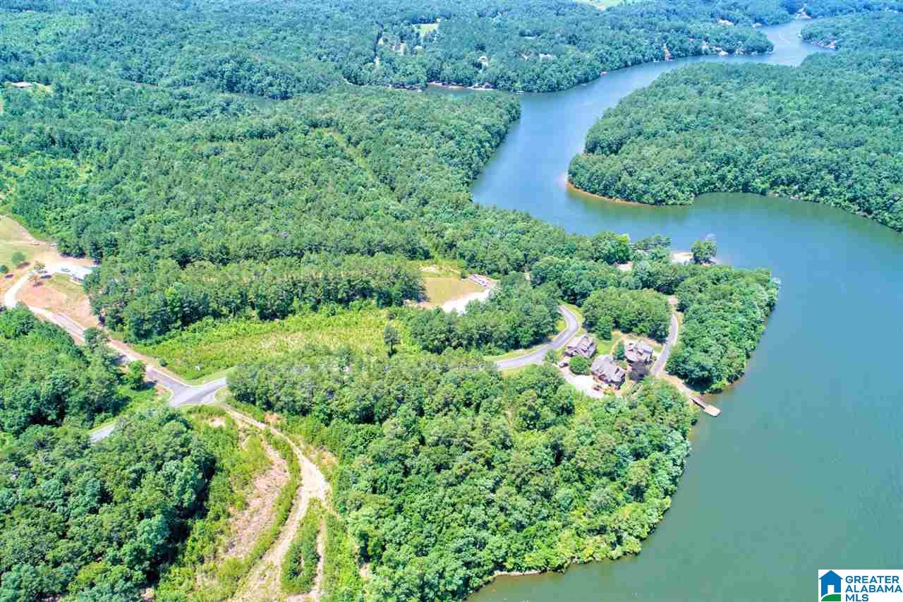 Lot 9 L Landing, Unit 9L Wedowee, AL 36278 - Photo 24 of 27