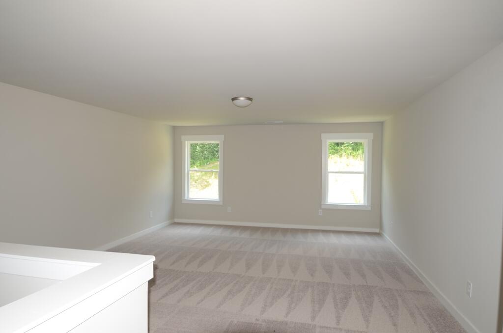 9134 Fuller Road, Unit 9 Chattanooga, TN 37421 - Photo 8 of 14 DSC_9543