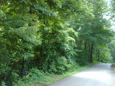 999 Edgewater Forest Road Keavy, KY 40701 - Photo 1 of 2 Photo 1