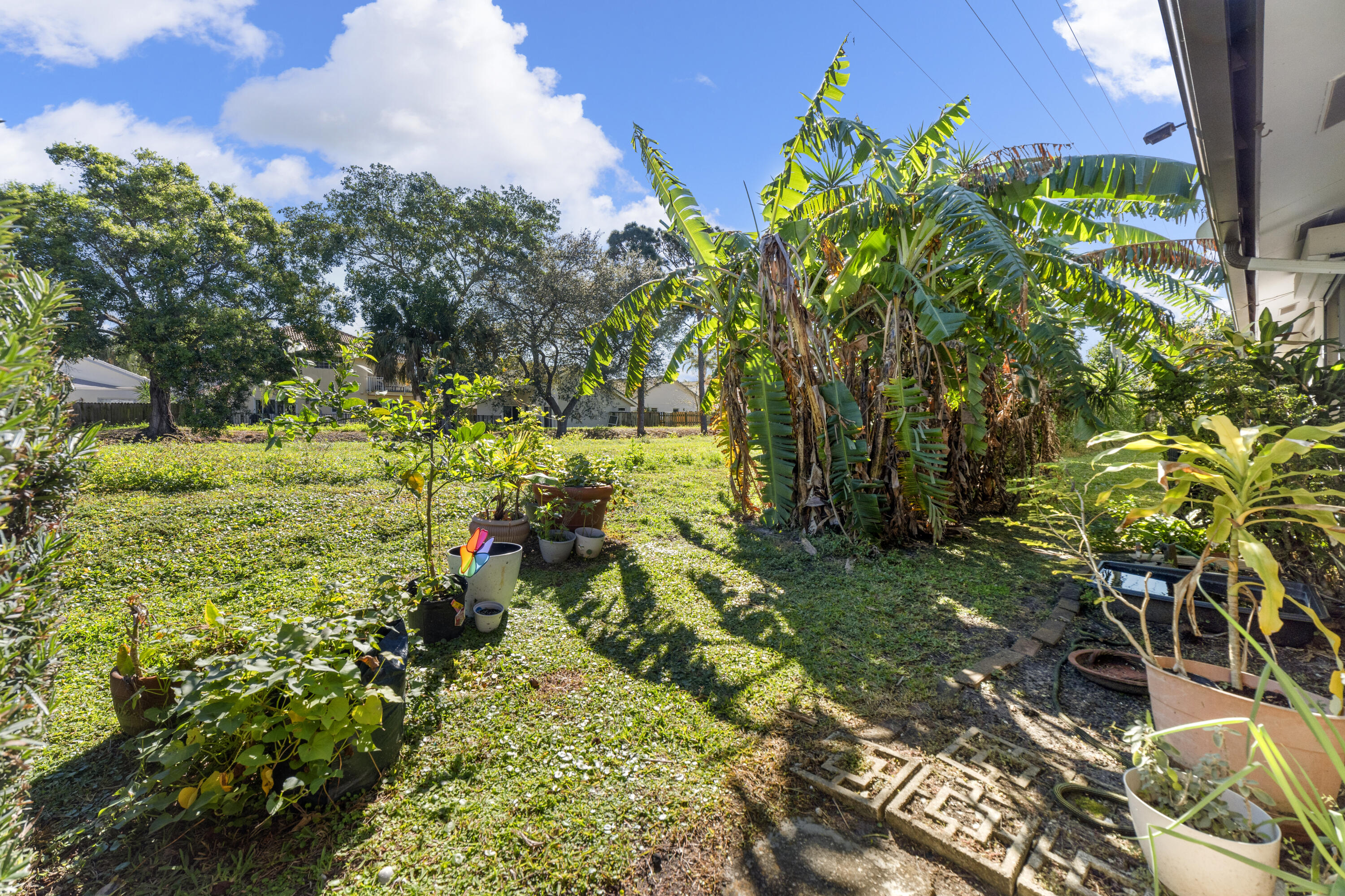 197 Bent Arrow Drive Jupiter, FL 33458 - Photo 21 of 33 a view of a yard with plants