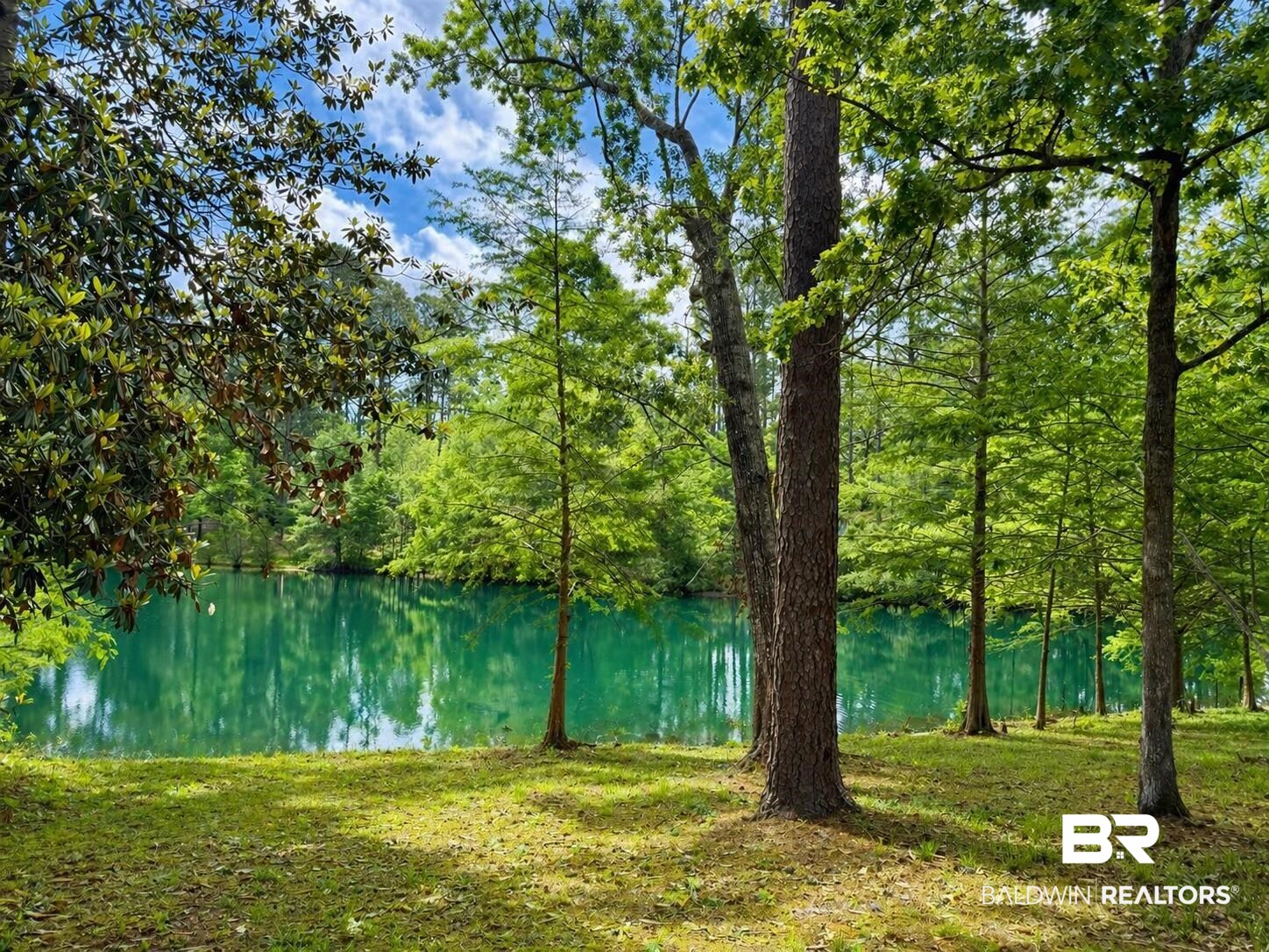 762 Buddy Lake Road Brewton, AL 36426 - Photo 2 of 20 Lush natural setting featuring mature trees, a tranquil body of water, dappled sunlight, and a verdant grassy area
