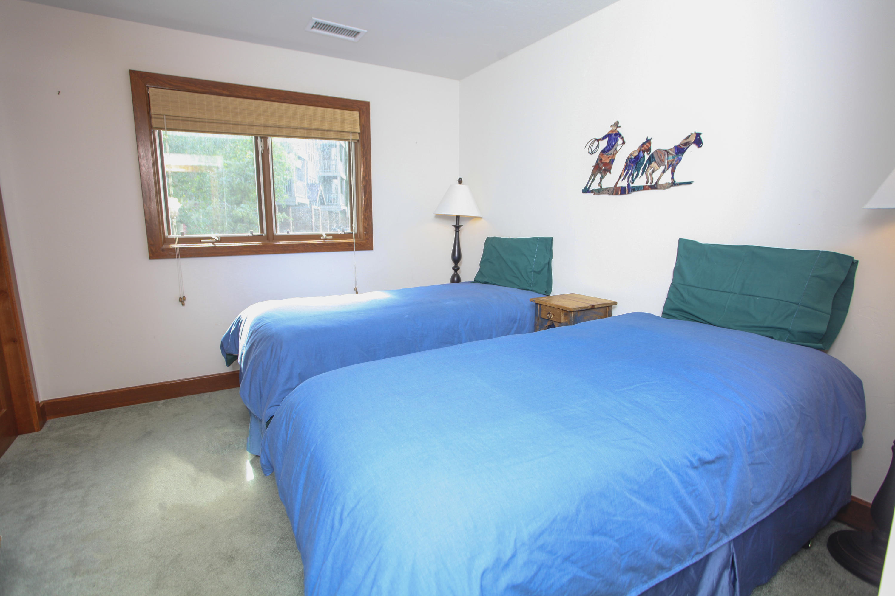 323 Adams Ranch Road, Unit 1B Mountain Village, CO 81435 - Photo 12 of 16 IMG_7680
