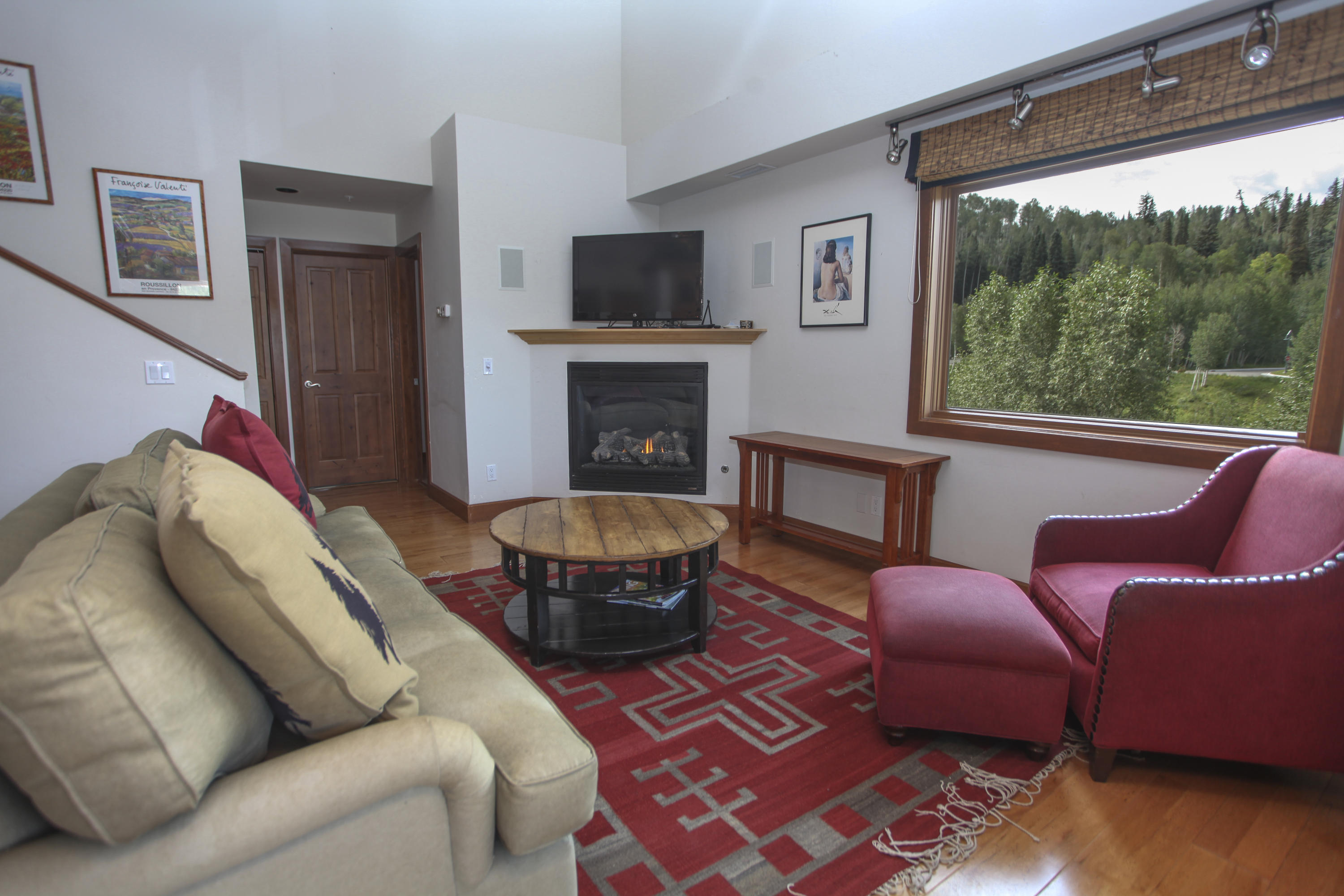 323 Adams Ranch Road, Unit 1B Mountain Village, CO 81435 - Photo 3 of 16 IMG_7637 copy