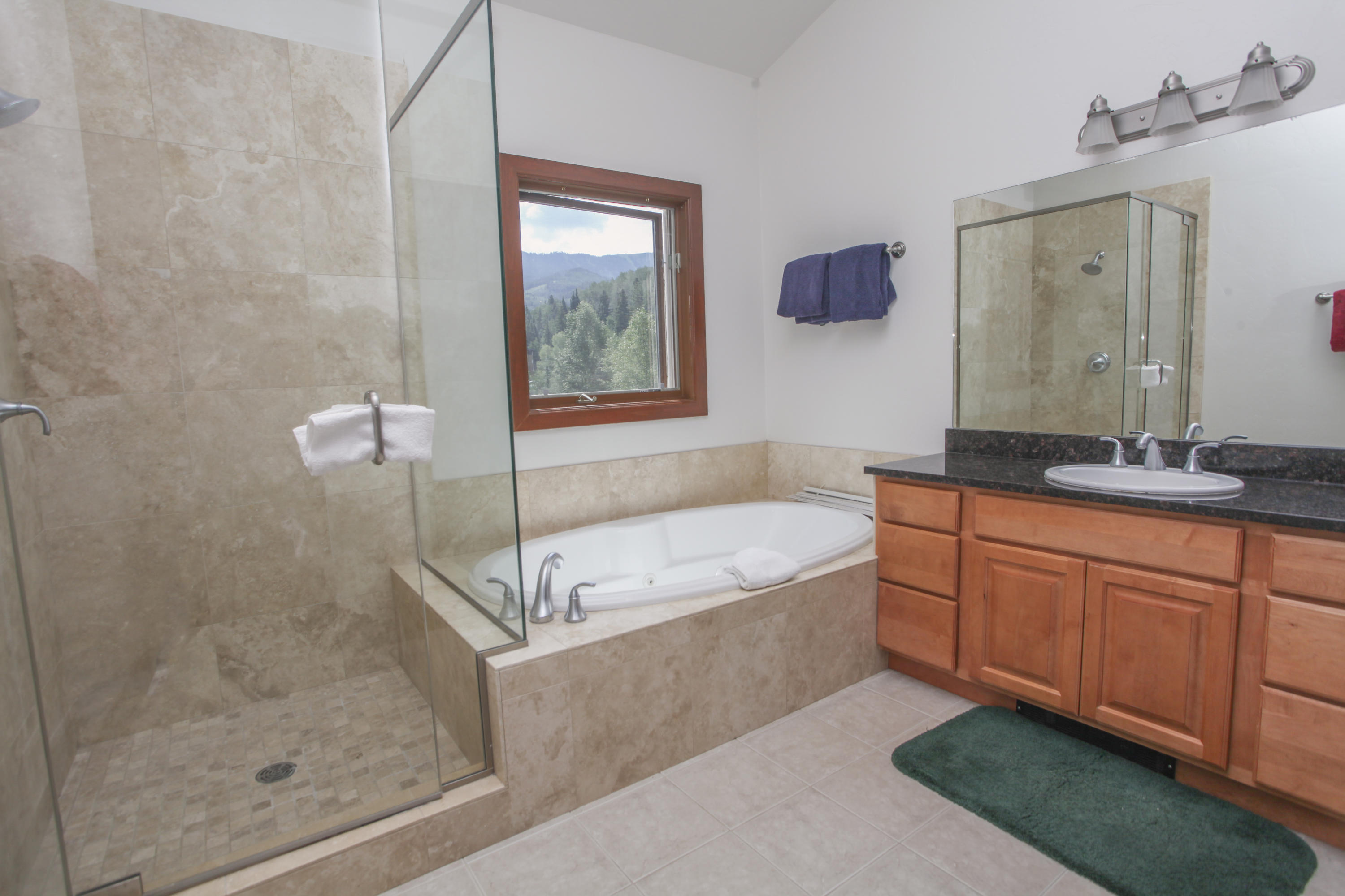 323 Adams Ranch Road, Unit 1B Mountain Village, CO 81435 - Photo 9 of 16 IMG_7694